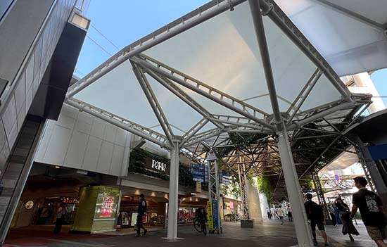 膜结构景观棚报价